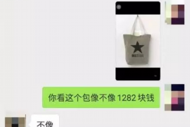 琼中遇到恶意拖欠？专业追讨公司帮您解决烦恼